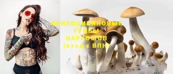 мдма Богородицк