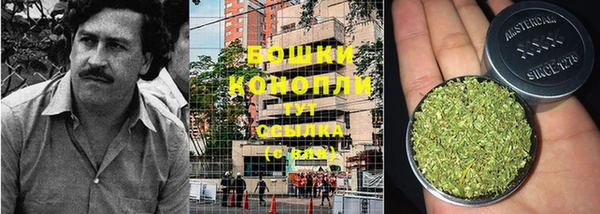 молекула духа Богородск