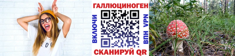 Галлюциногенные грибы прущие грибы  Обь 